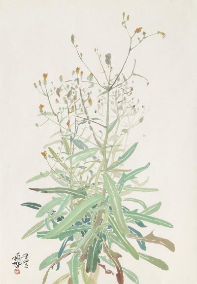 雜草