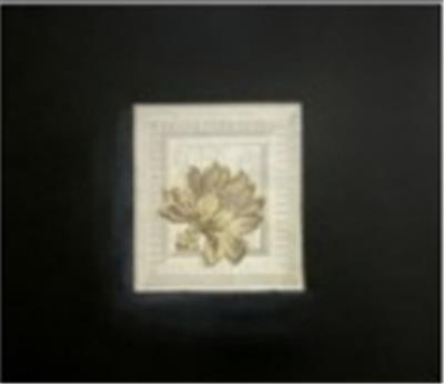 框域之花-片段的寧靜
 