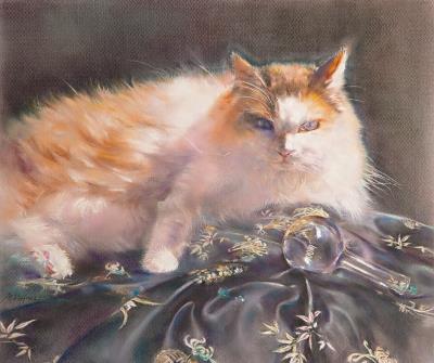 貓兒與玻璃球 The Cat and The Glass Ball